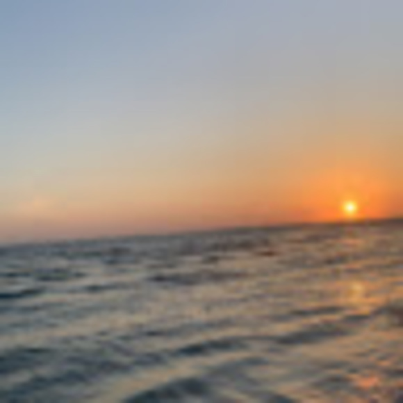 Meet your Posher, Brianna - Picture 1 of 1